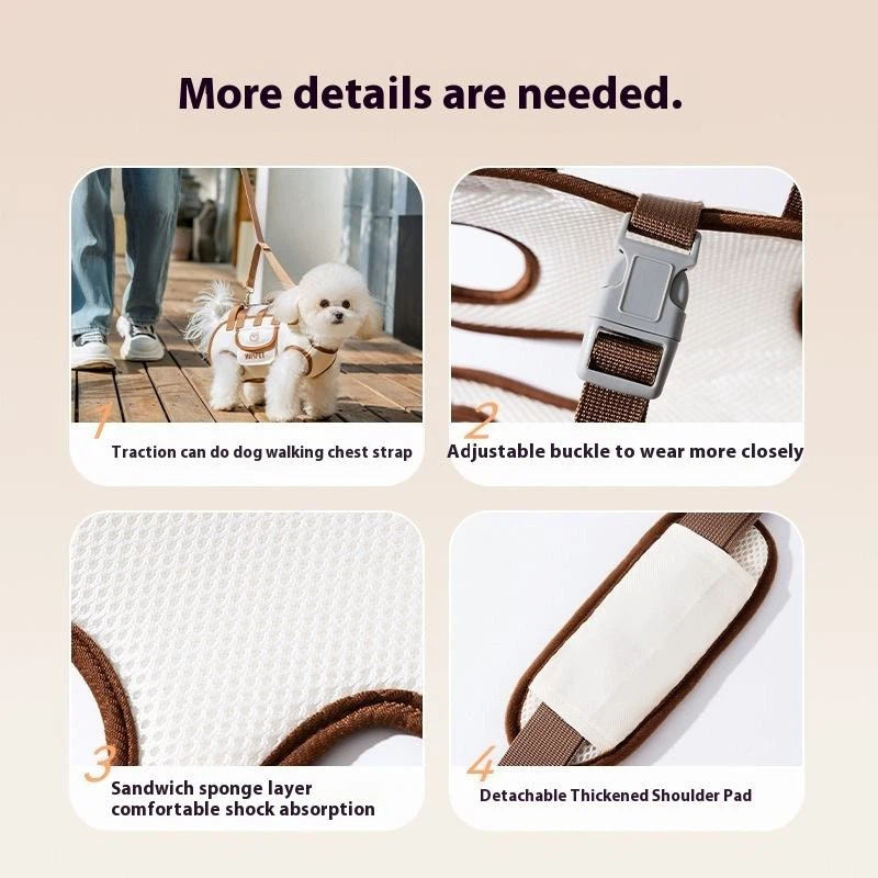 Designer Multi-Functional Small Pet Harness best